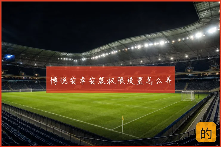 博悦安卓安装权限设置怎么弄