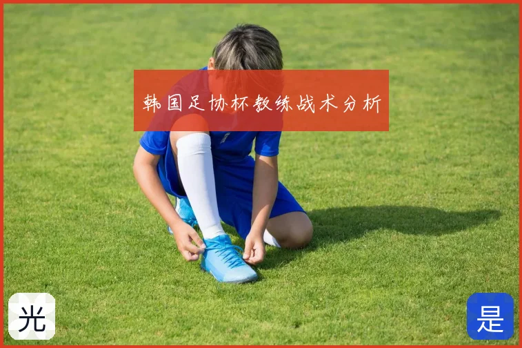 韩国足协杯教练战术分析